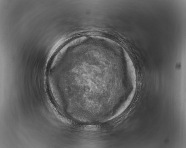 X0000116010102200912101351