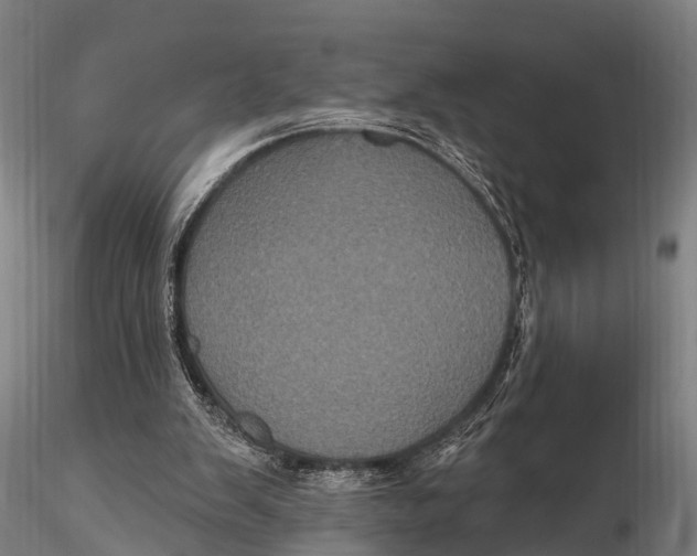 X0000116010103200912101351