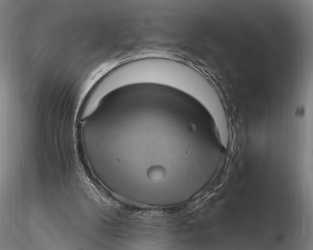 X0000116010104200912101351