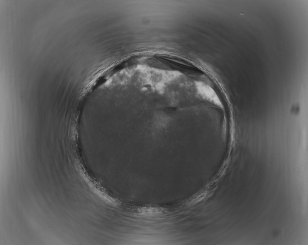 X0000116010105200912101351