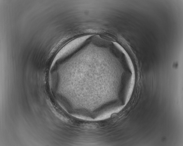 X0000116010106200912101351