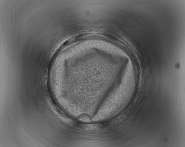 X0000116010107200912101350