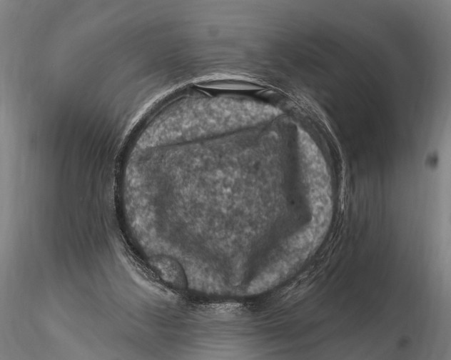 X0000116010108200912101350