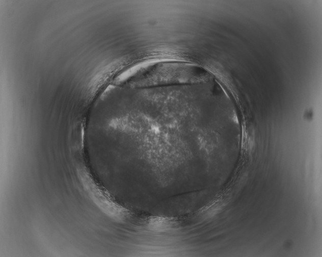 X0000116010109200912101350