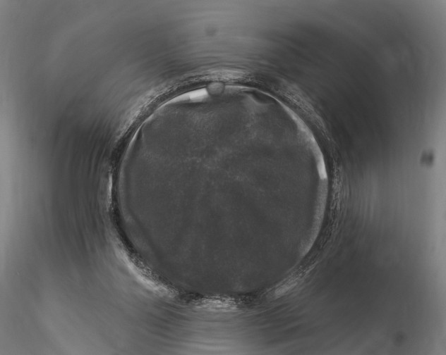 X0000116010110200912101350