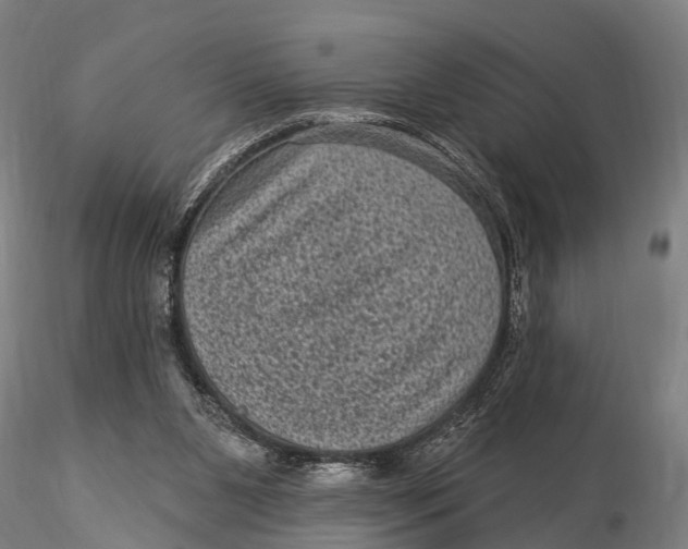 X0000116010111200912101350