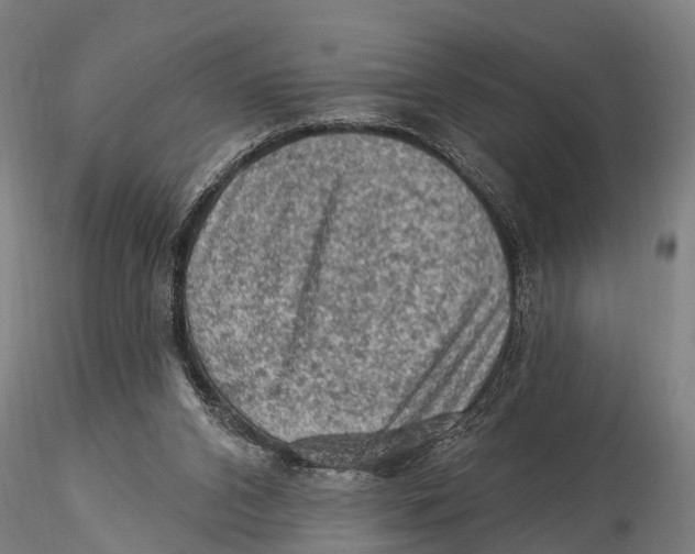 X0000116010112200912101350