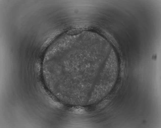 X0000116010113200912101350