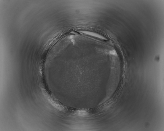 X0000116010114200912101350