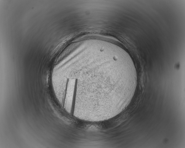 X0000116010115200912101350