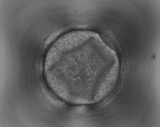 X0000116010116200912101350