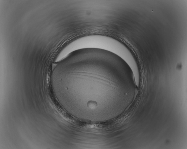 X0000116010117200912101350