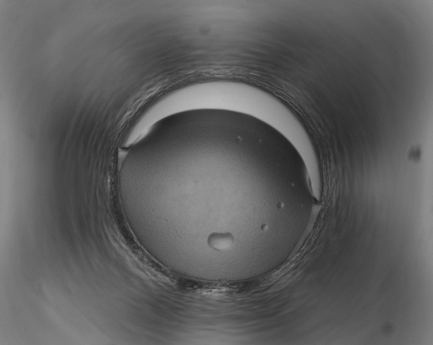 X0000116010120200912101350