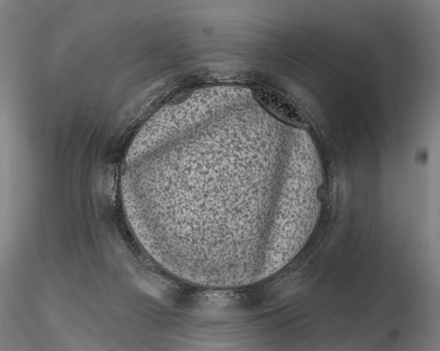 X0000116010121200912101350