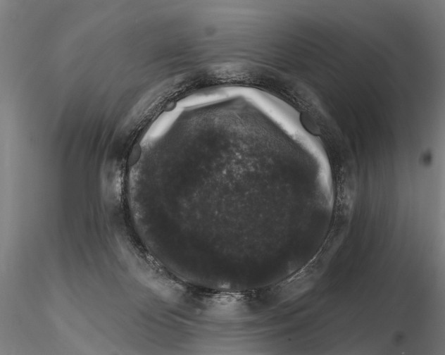 X0000116010124200912101350