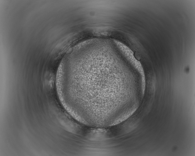 X0000116010125200912101350