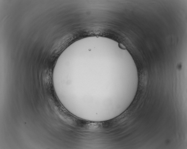 X0000116010126200912101350