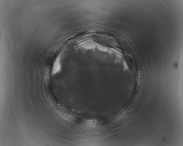 X0000116010127200912101350