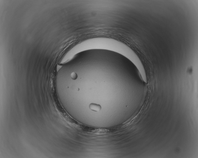 X0000116010128200912101350