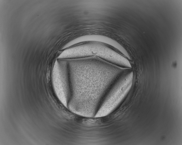 X0000116010129200912101350