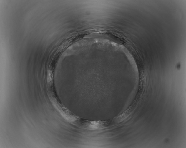 X0000116010130200912101350