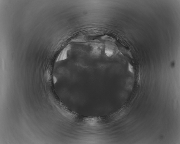 X0000116010131200912101350