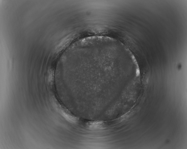 X0000116010132200912101350