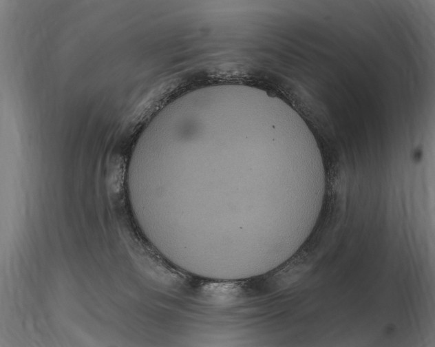 X0000116010133200912101350