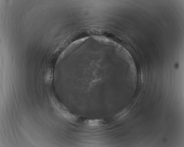 X0000116010134200912101350