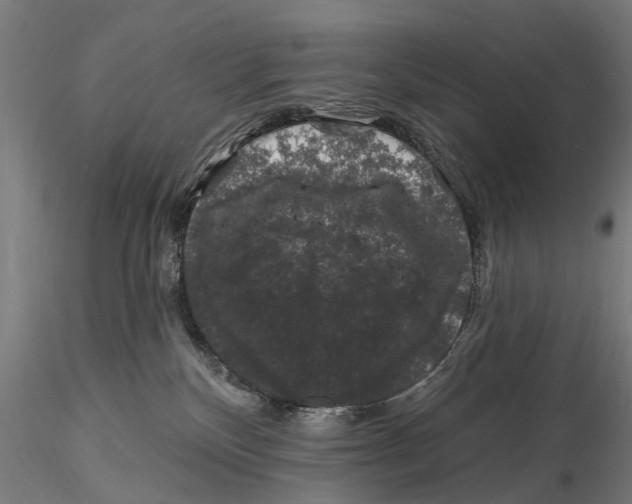 X0000116010136200912101350