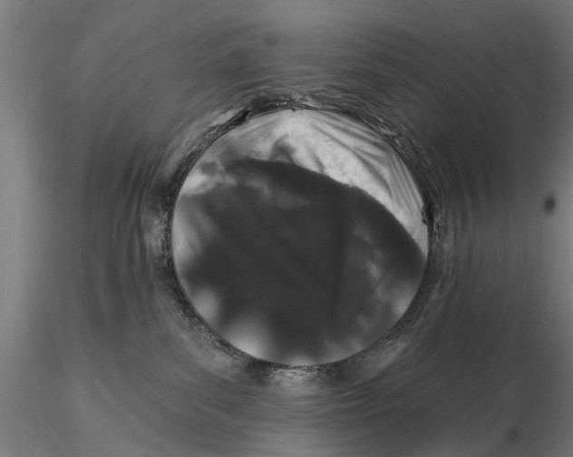 X0000116010139200912101350