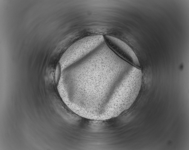 X0000116010141200912101350