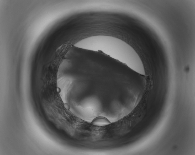 X0000116010143200912101350