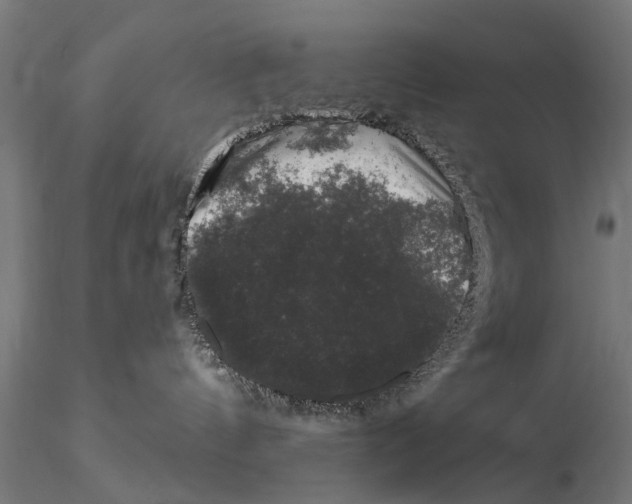 X0000116010144200912101350