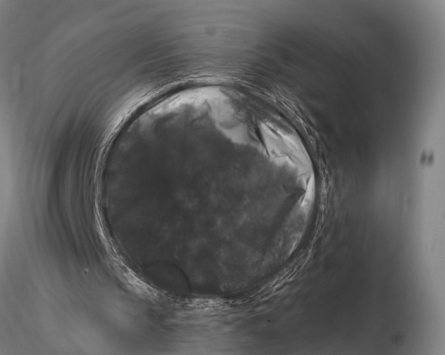 X0000116010145200912101349