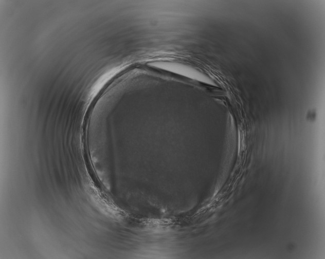 X0000116010147200912101349