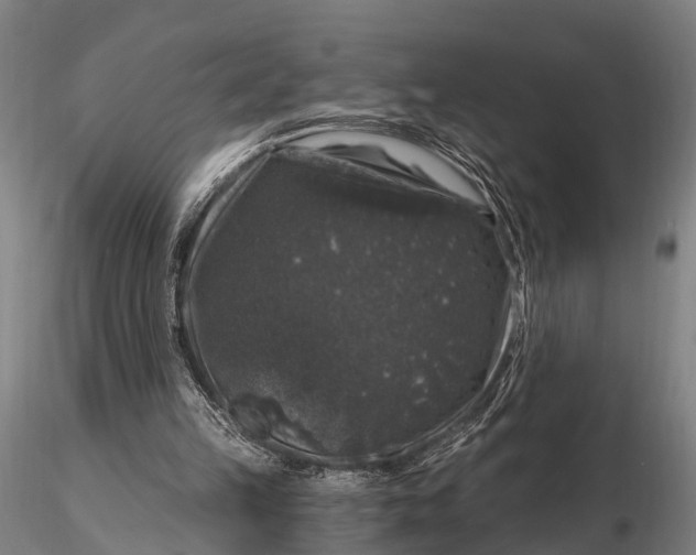 X0000116010149200912101349