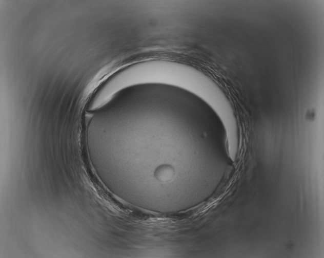 X0000116010150200912101349