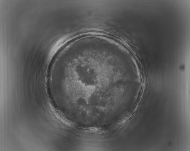 X0000116010151200912101349