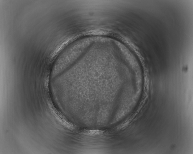 X0000116010153200912101349