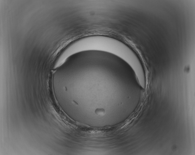 X0000116010154200912101349