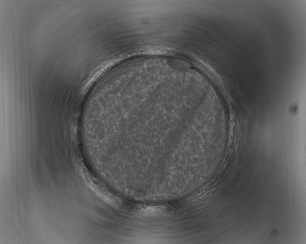 X0000116010155200912101349