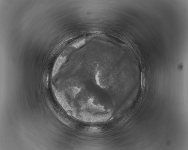 X0000116010157200912101349