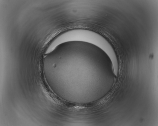 X0000116010158200912101349