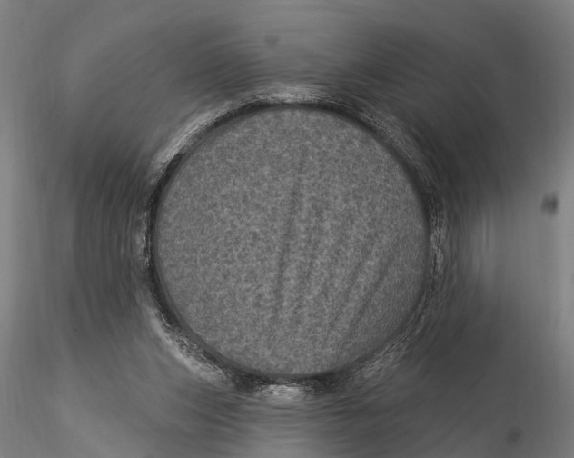 X0000116010159200912101349