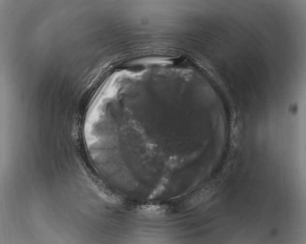 X0000116010161200912101349