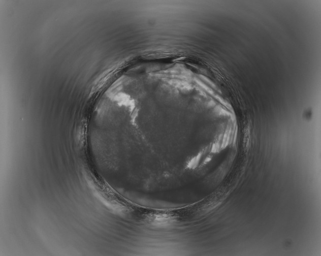 X0000116010165200912101350