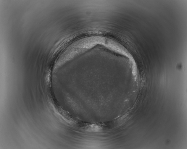 X0000116010166200912101350