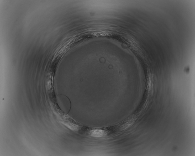 X0000116010169200912101350