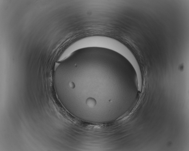 X0000116010170200912101350